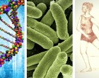 Test your DNA knowledge, how the environment effects our microbiota and is dancing good for the brain?