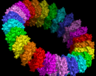 Molecular_model_of_the_pre-pore_form_of_a_MACPF_protein_based_upon_the_structure_of_pneunolysin