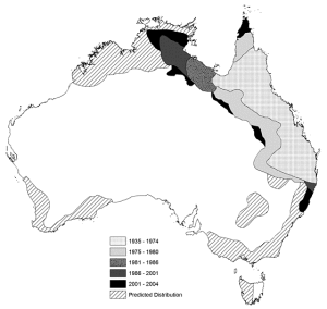 Historical expansion and predicted distribution of the cane toad in Australia (DEH, 2006)