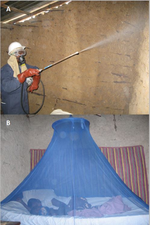 Figure 1. Mosquito control methods in The Gambia. A. Indoor residual spraying with DDT is administered by the Gambia National Malaria Control Programme (GNMCP) (image USAID). B. Long-lasting insecticide-treated bed nets (LLINs) were also used for malaria control and were administered during mass campaigns between 2013 and 2014 (image President’s Mosquito Initiative).