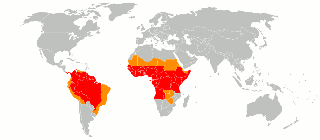 Map of Yellow Fever Virus. This global map represents endemic areas of Yellow Fever Virus (red) and areas where the virus may be present (orange). Source: https://commons.wikimedia.org/wiki/File:Fievre_jaune.png 