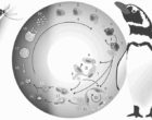 Life cycle of avian malaria. Source: https://0-www-tandfonline-com.brum.beds.ac.uk/doi/full/10.1080/03079457.2016.1149145