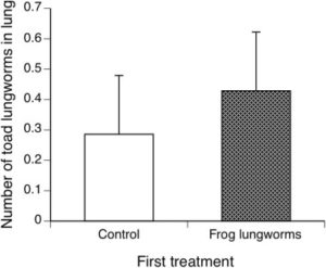 Effect of prior exposure to frog lungworms on the subsequent establishment of the cane toad lungworm species in the lungs of cane toad metamorphs. Source: Nelson et al., 2015