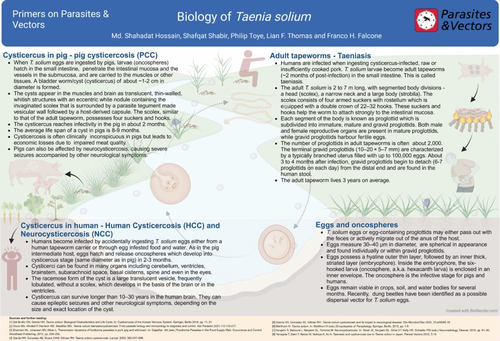 Biological characteristics and life cycle of Taenia solium. 
