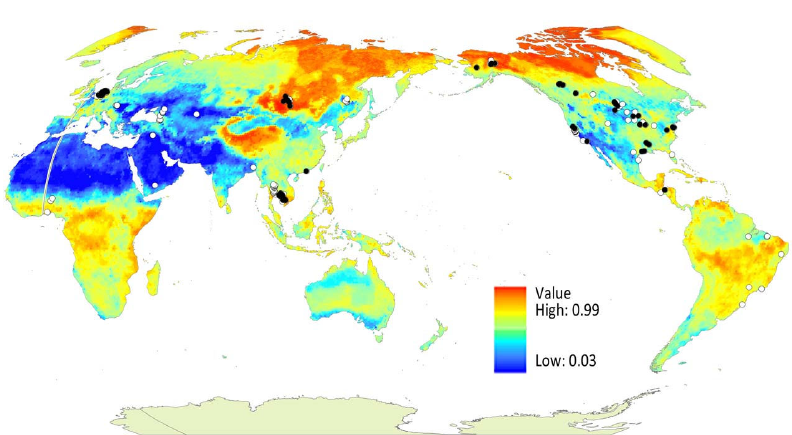 Global representation of the relative occurrence of avian influenza virus in wild birds