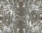 neurons-582050_1920