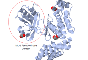 Pseudoenzyme structure, taken from Wikipedia