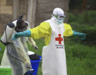 Congon Ebola