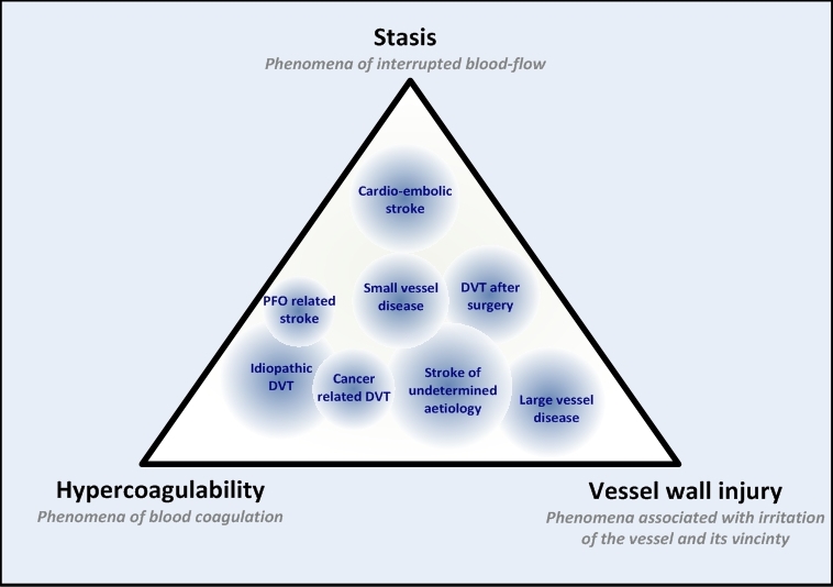 Figure 1. An example of a gradual classification of ischemic stroke and venous thrombosis according to the three elements of Virchow’s triad.