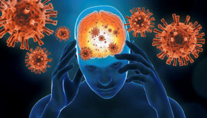 Brain inflammation with red generic virus cells. 