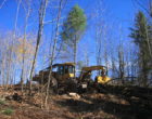 A yellow digger is at work in a forest